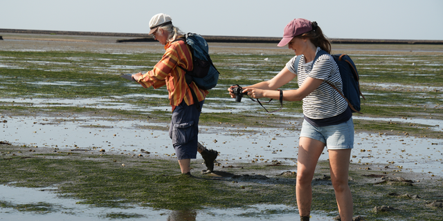 MitarbeiterInnen des Landesamtes für Küstenschutz machen Bilder vom Boden des Wattenmeers